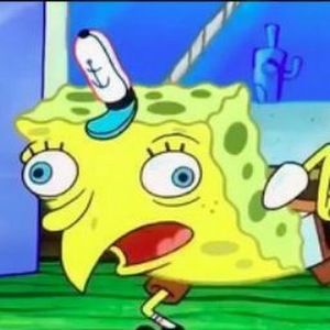 Meet your Posher, Hailey